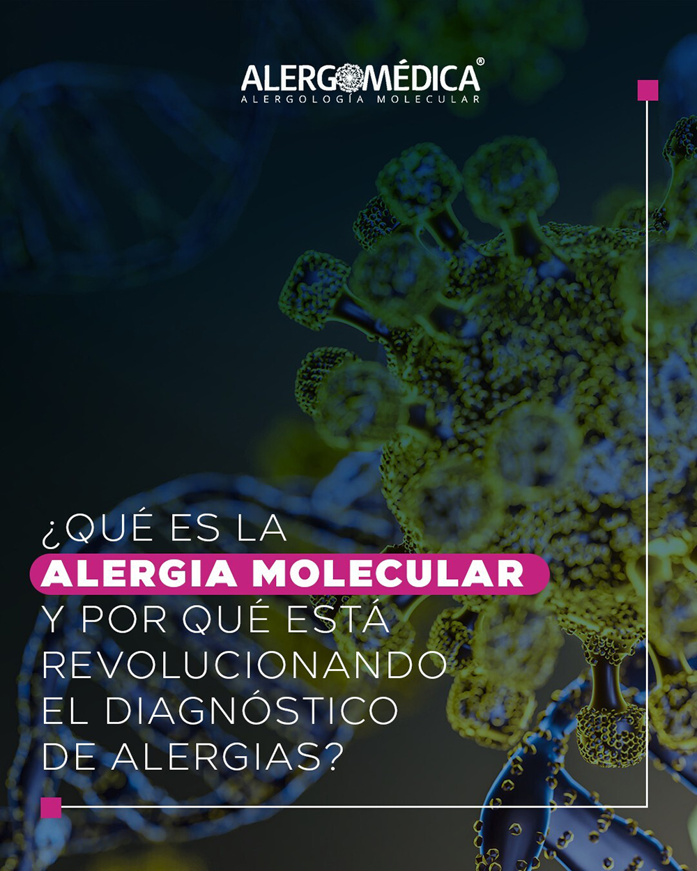Alergomedica